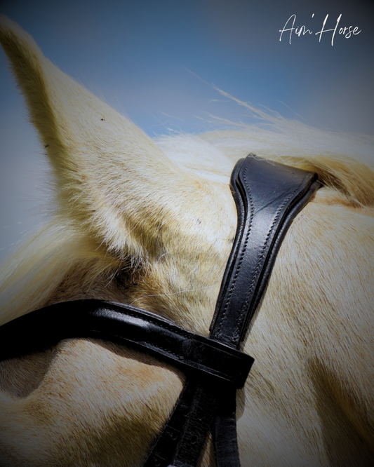 Têtière Advantiv +